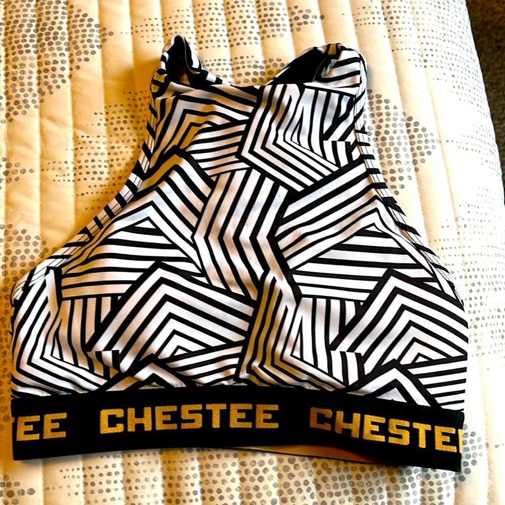 The Chestee Sports Bra
